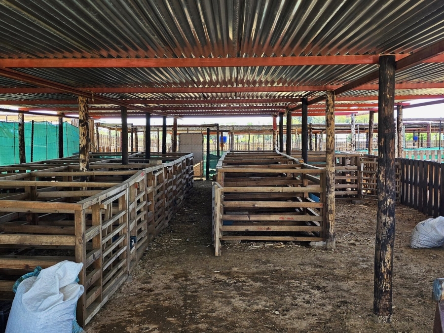 2 Bedroom Property for Sale in Upington Rural Northern Cape